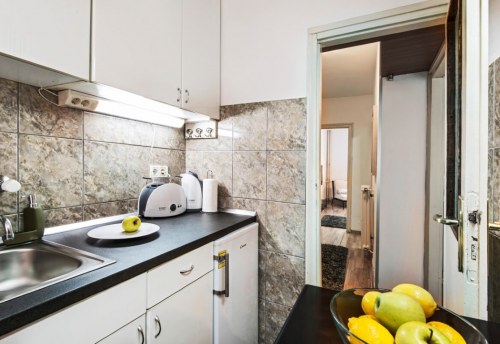 Apartmani Beograd | Apartman A19 | Strogi centar Trg Republike - Kuhinja